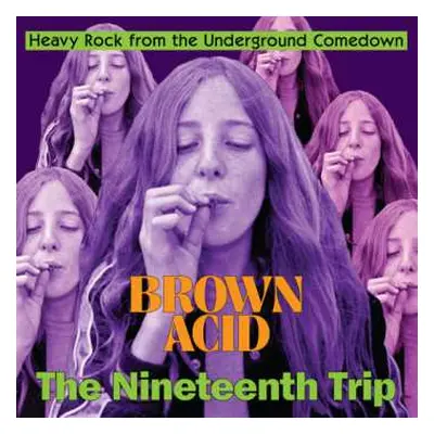 LP Various: Brown Acid: The Nineteenth Trip (Heavy Rock From The Underground Comedown)