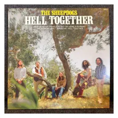 LP The Sheepdogs: Hell Together Green Ltd