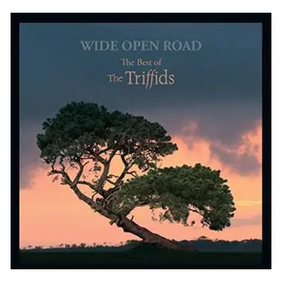 CD The Triffids: Wide Open Road (The Best Of The Triffids)