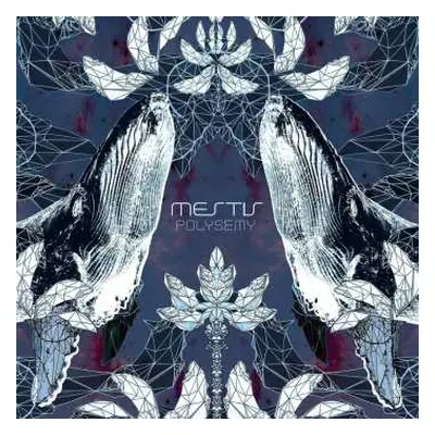 CD Mestis: Polysemy