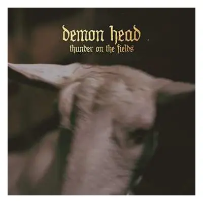 LP Demon Head: Thunder On The Fields