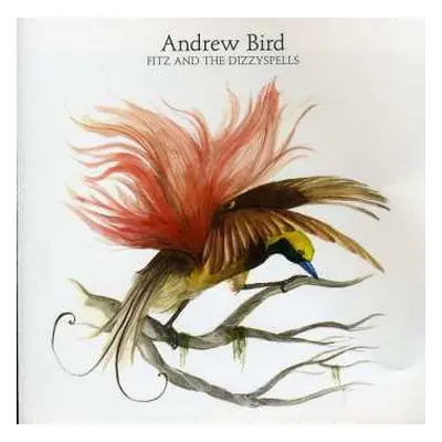 CD Andrew Bird: Fitz And The Dizzyspells