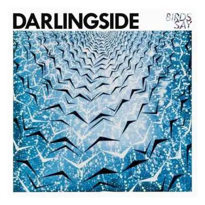 CD Darlingside: Birds Say