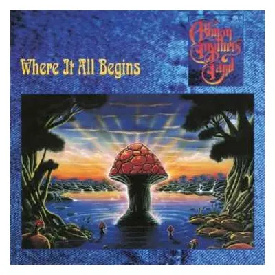 2LP The Allman Brothers Band: Where It All Begins