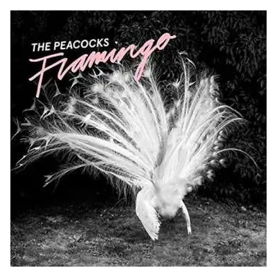 CD Peacocks: Flamingo