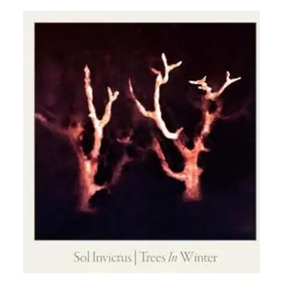 CD Sol Invictus: Trees In Winter LTD | DIGI