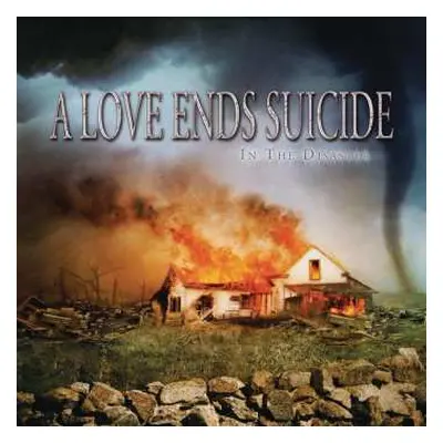 CD A Love Ends Suicide: In The Disaster