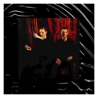 CD These New Puritans: Inside The Rose