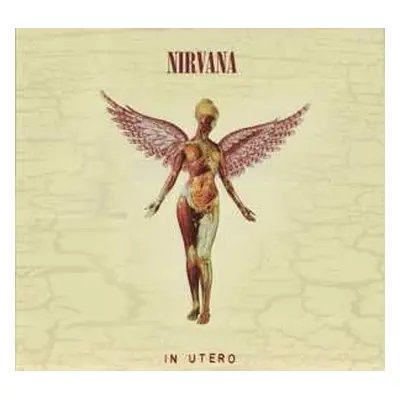 3LP Nirvana: In Utero DLX | LTD