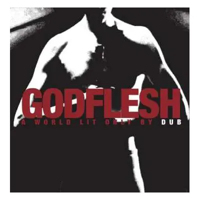 CD Godflesh: A World Lit Only by Dub