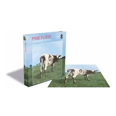 Puzzle Atom Heart Mother (500 Dílků)