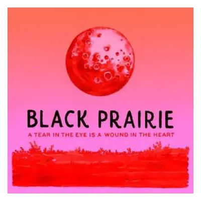 2LP Black Prairie: A Tear In The Eye Is A Wound In The Heart