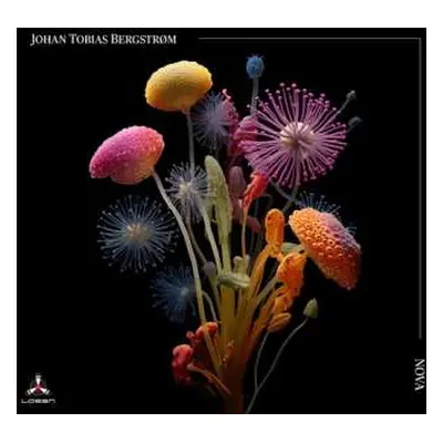 CD Johan Tobias Bergstrøm: Nova