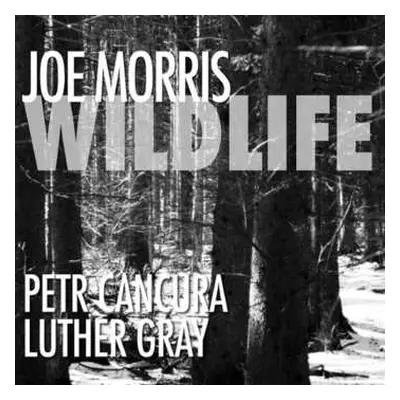 CD Joe Morris: Wildlife