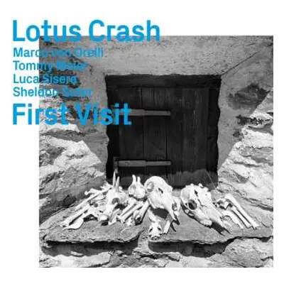 CD Lotus Crash: First Visit