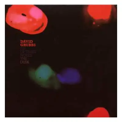 CD David Grubbs: An Optimist Notes The Dusk