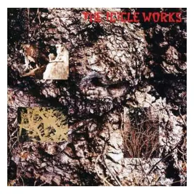 2CD The Icicle Works: The Icicle Works