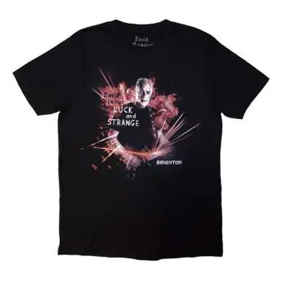 David Gilmour Unisex T-shirt: Luck & Strange Brighton (black) (back Print & Ex-tour) (medium) M