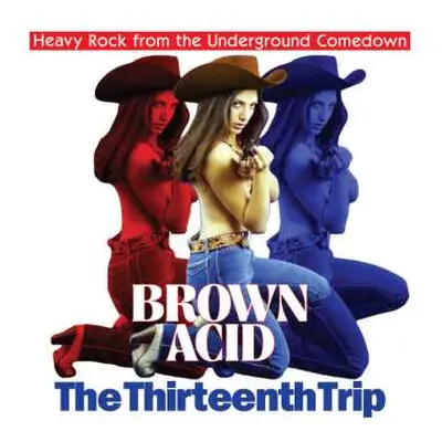 CD Various: Brown Acid: The Thirteenth Trip (Heavy Rock From The Underground Comedown)