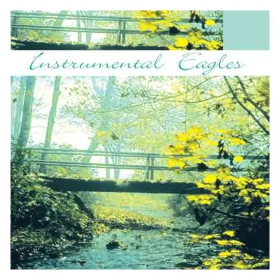 CD Unknown Artist: Instrumental Eagles