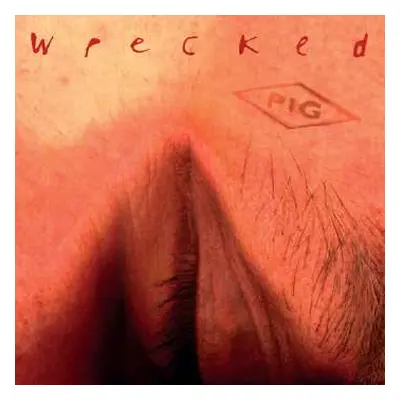 CD Pig: Wrecked