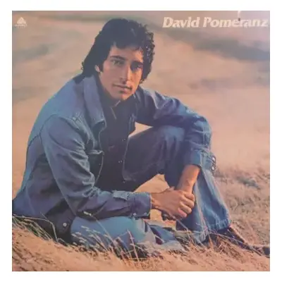 VG+ | VG+ LP David Pomeranz: It's In Everyone Of Us