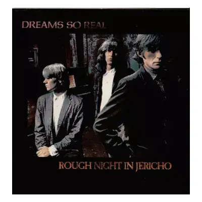 NM | VG+ LP Dreams So Real: Rough Night In Jericho