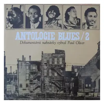 VG+ | VG+ 2LP Various: Antologie Blues / 2