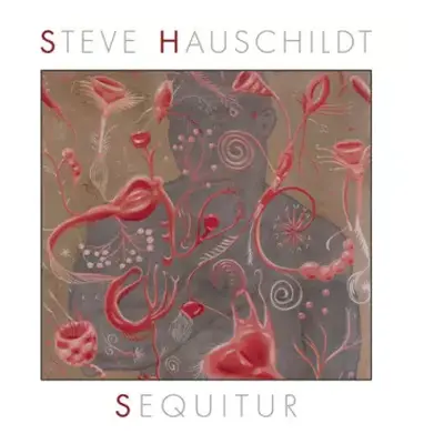 CD Steve Hauschildt: Sequitur