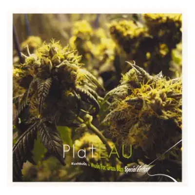 2CD Plateau: Kushbush + Music For Grass Bars Special Edition