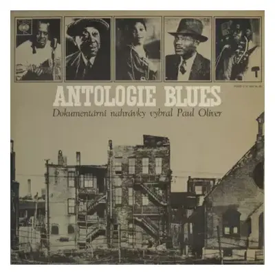 VG+ | VG+ 2LP Various: Antologie Blues