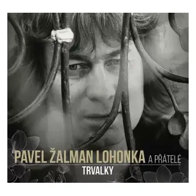 NM | VG CD Zalman Pavel Lohonka: Trvalky