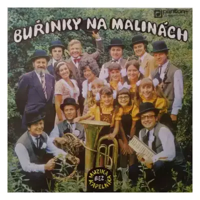 VG+ | VG+ LP Muzika Bez Kapelníka: Buřinky Na Malinách