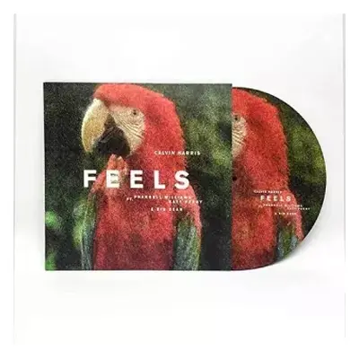 LP Pharrell Williams: Feels PIC