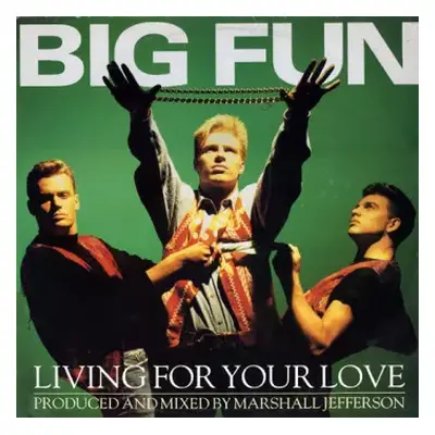 VG+ | VG+ LP Big Fun: Living For Your Love