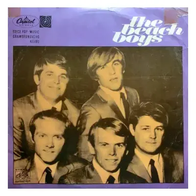 VG | VG LP The Beach Boys: The Beach Boys