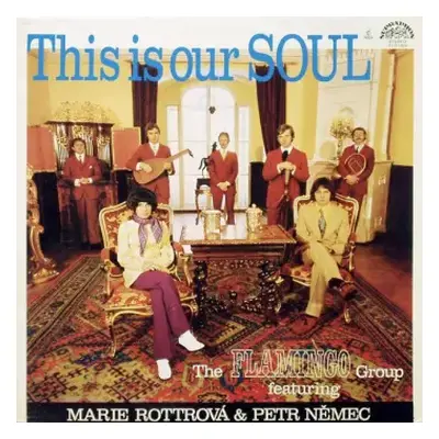 VG+ | VG+ LP Marie Rottrová: This Is Our Soul