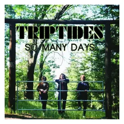 LP Triptides: So Many Days