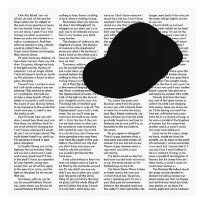 M | NM 2LP Owen Pallett: In Conflict LTD