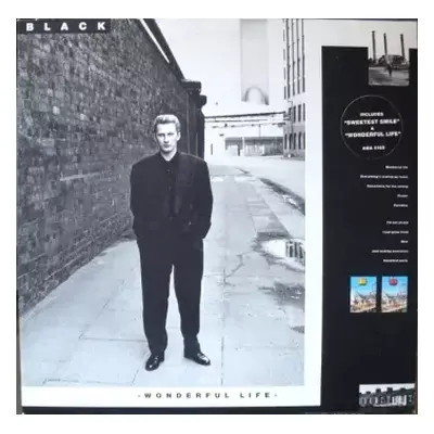 VG+ | VG+ LP Black: Wonderful Life