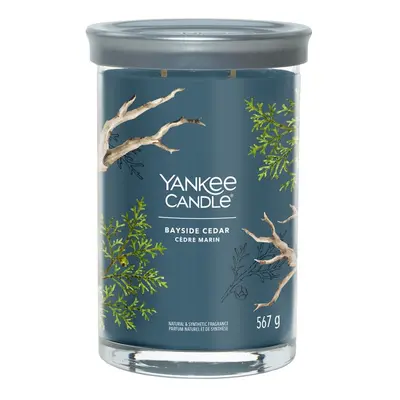 Yankee Candle Aromatická svíčka Signature tumbler velký Bayside Cedar 567 g