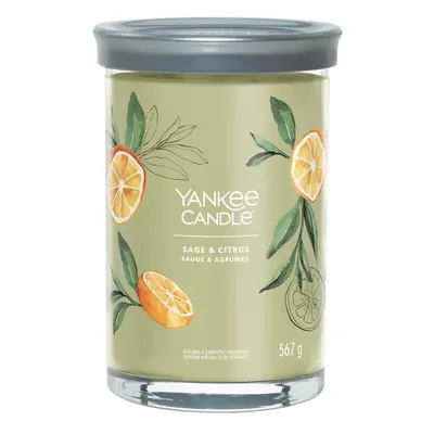 Yankee Candle Aromatická svíčka Signature tumbler velký Sage & Citrus 567 g