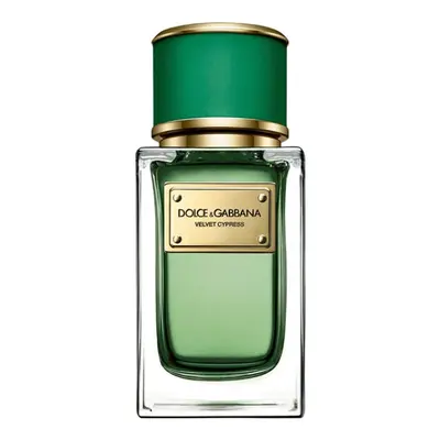 Dolce & Gabbana Velvet Cypress - EDP 50 ml