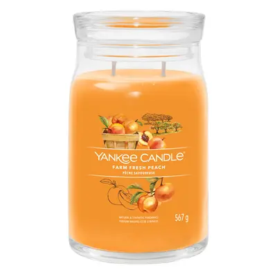 Yankee Candle Aromatická svíčka Signature sklo velké Farm Fresh Peach 567 g