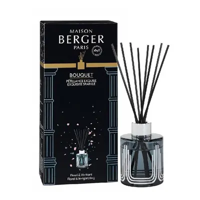 Maison Berger Paris Aroma difuzér Olymp šedý Intenzivní třpyt Exquisite sparkle 115 ml