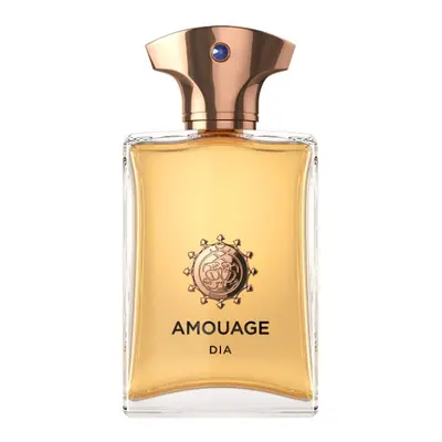 Amouage Dia Pour Homme - EDP 100 ml