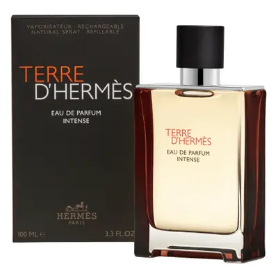 Hermes Terre D`Hermès Intense - EDP (plnitelná) 100 ml