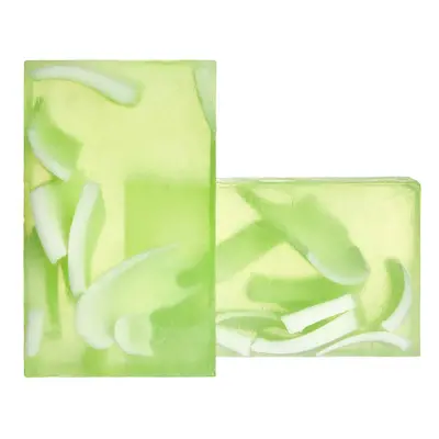 Soaphoria Přírodní mýdlo Čistá aloe vera 100g