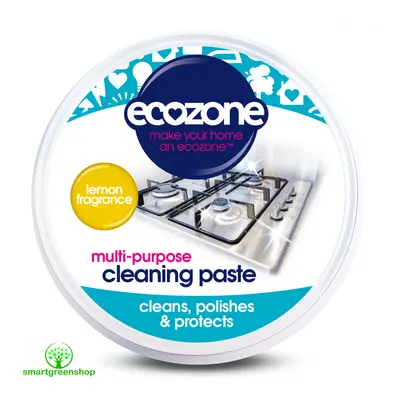 Ecozone Univerzální čistící pasta 300g