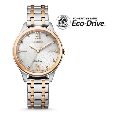 Citizen Eco-Drive Classic EM0506-77A